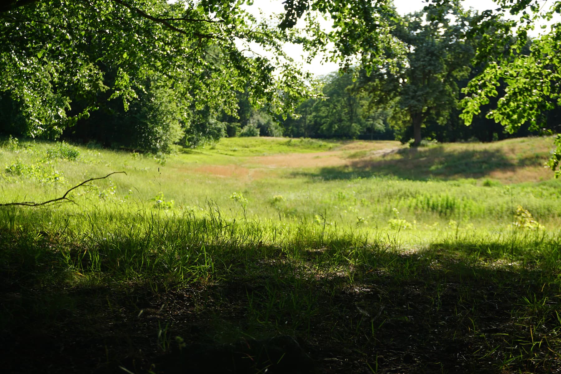 Illustrative land & acreage photography, not an active listing